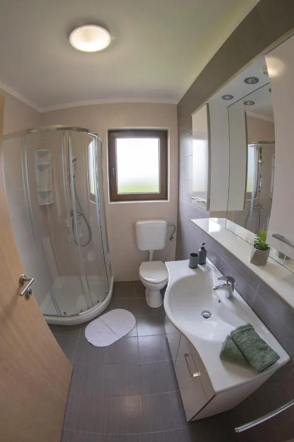 Apartment Mara Vižinada